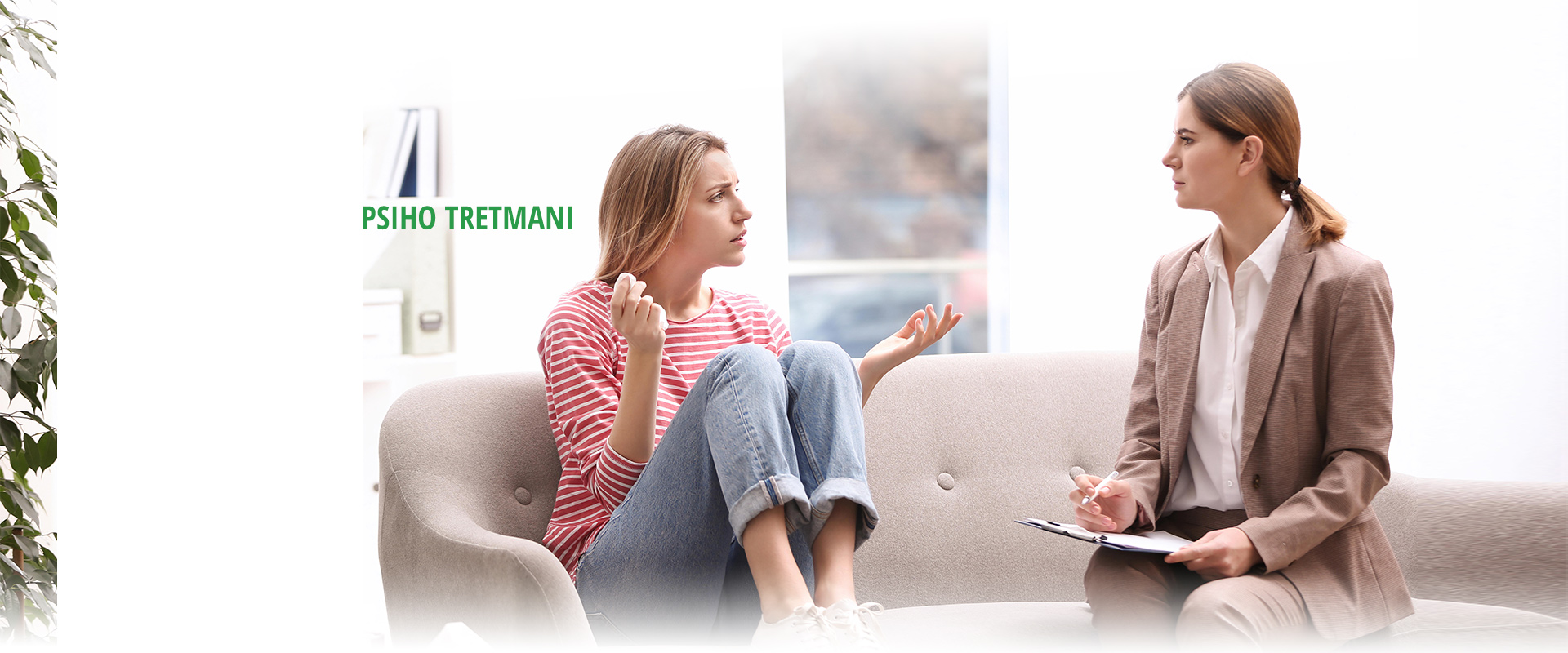 header3.jpg